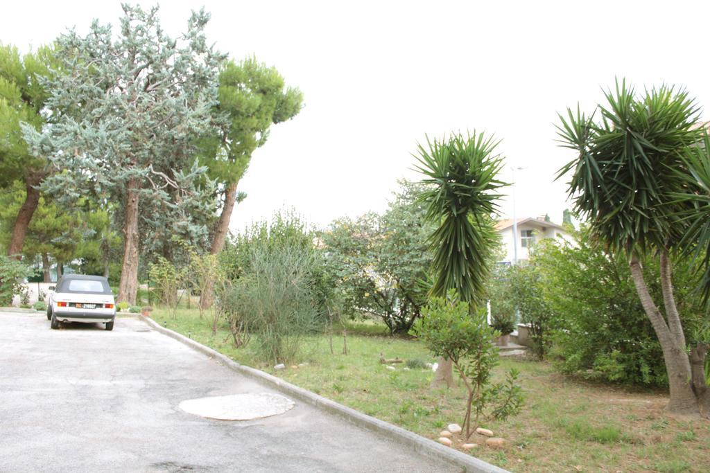 西维尔诺瓦·马尔凯Pino Marittimo住宿加早餐旅馆 外观 照片
